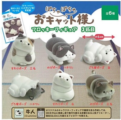 Ushihito's Pocha Pocha Cat-sama Flocky Figure Capsule Toy 6 Types Comp Set Gacha