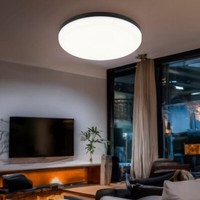 Deckenleuchte Deckenlampe Wohnzimmerleuchte Led Schwarz Matt Opal Rund D 30 Cm