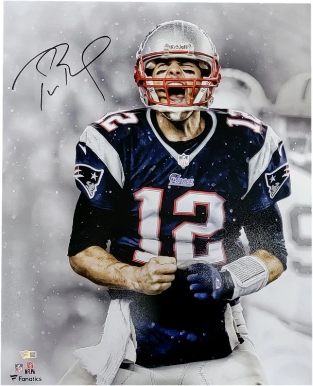 Foto autografiada de Tom Brady de 16x20 de los Patriotas de Nueva Inglaterra celebran a los fanáticos