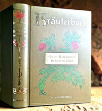 uraltes Kräuterwissen aus 1903 Jugendstil di...