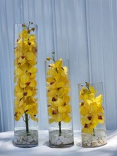 Set of 3 Yellow Orchid Arrangements in Clear Glass Cylinders with Stones
