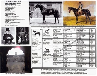 English Race Horse History St Simon picture pedigree 8.5 X 11