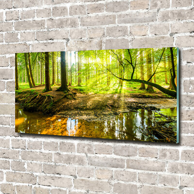 Wandbild aus Plexiglas  Druck auf Acryl 140x70 Landschaften Wasserfall im Wald