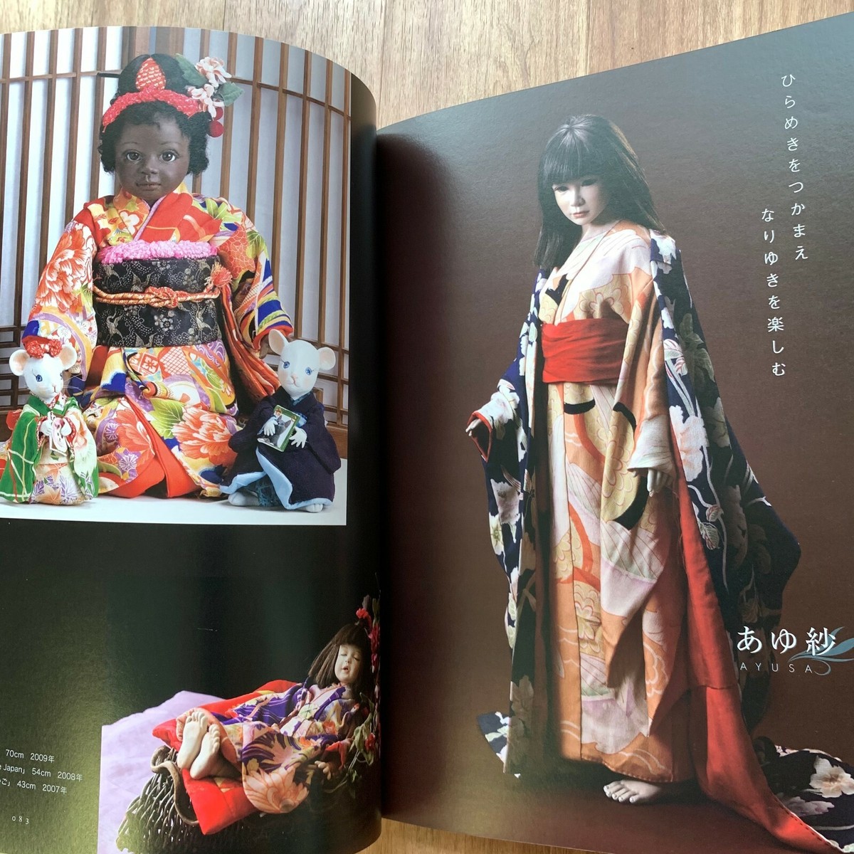 Japanese Doll Creators Art Book HITOMI No.17 Ball-jointed Doll