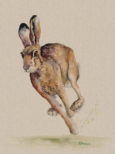 Jane Bannon Canvas Art Prints Range Of Animal Pictures 108 Different Options - Picture 60 of 120