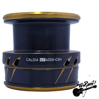 Daiwa 21CALDIA LT 4000-CXH スピニングリール Daiwa 25 Caldia LT4000