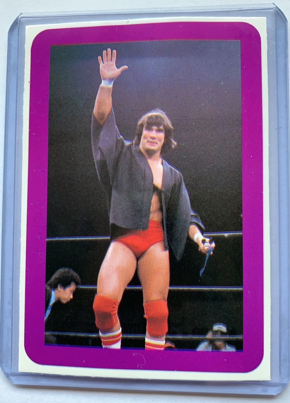 Tarjeta de revista Ricky Steamboat Flame/Palm 1982 BBM Pro-Wrestling Japón
