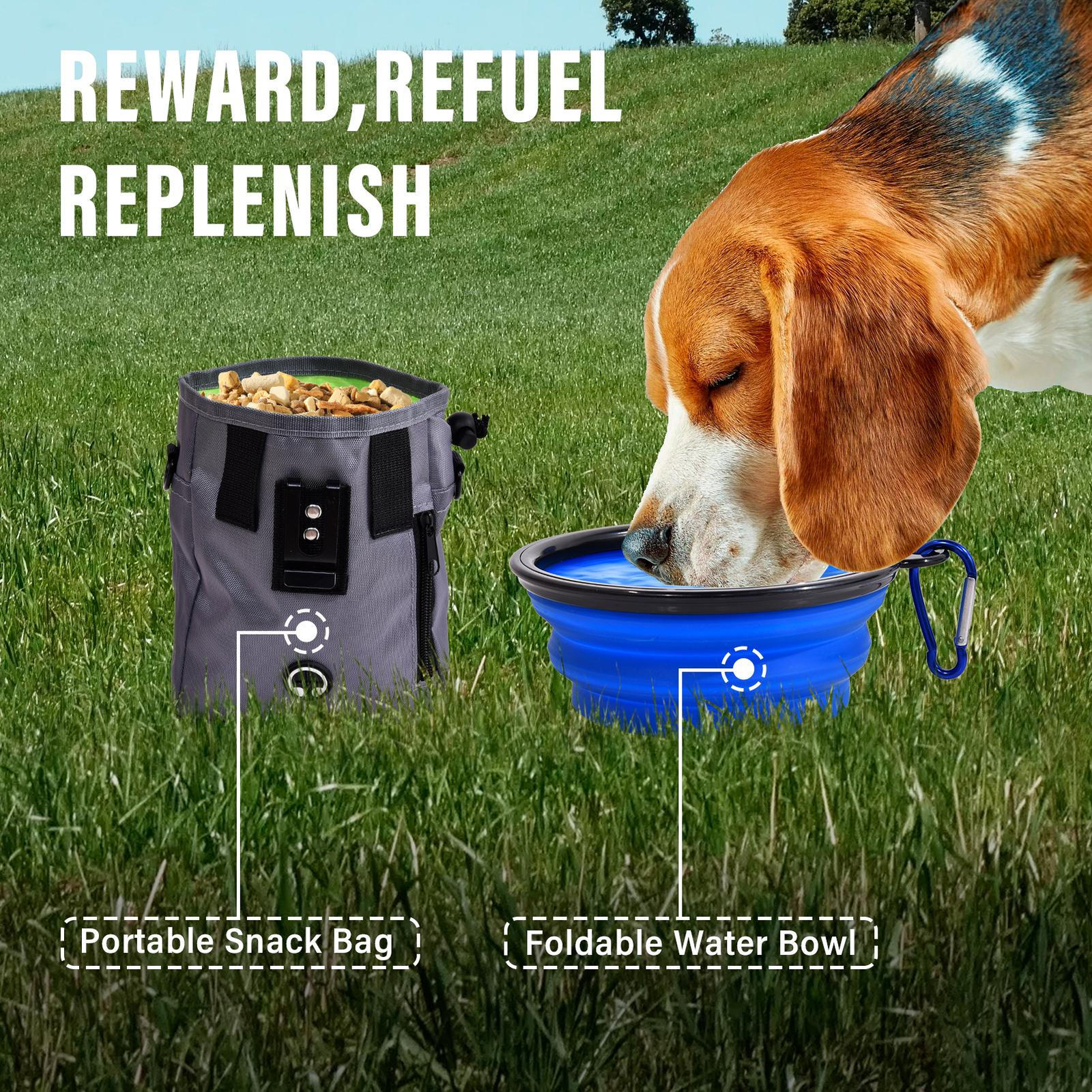 Outdoor Dog Pet Agility Training Equipment Backyard Starter Course Set Brand New