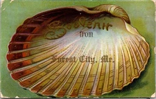 Forest City Maine ME Seashell Postcard Nautical