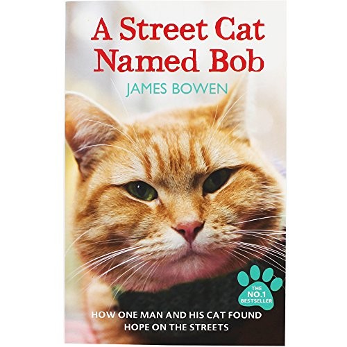 A Street Cat Named Bob: How one man and his cat found hope on , - Image 10