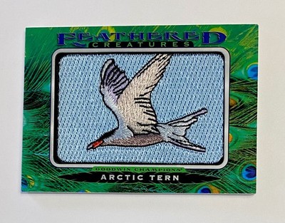 2021 Goodwin Champions - Arctic Tern - Feathered Creatures Patch #FC-15
