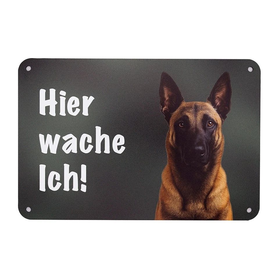 Malinois Autoaufkleber Belgischer Schäferhund, Hunde Zaunschild "Hier wache ich" - Bild 4 von 4