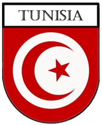 2 Stk. Aufkleber - Sticker-Wappen - Nationalflagge Tunisia - 50x65 mm