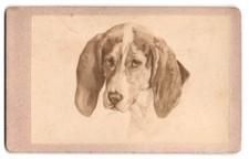 Photograph The Greyhound After Melin