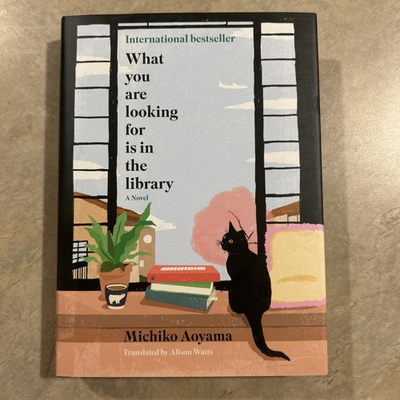 #ad #ad What You Are Looking For Is In The Library Aoyama $4.99