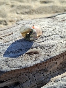 Genuine Surf Tumbled Seaglass