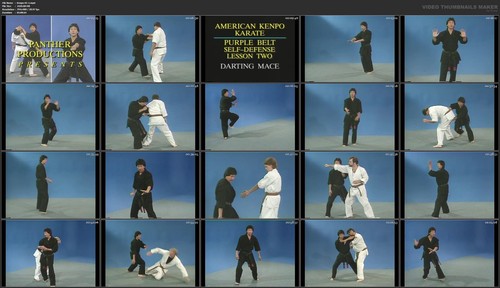 American Kenpo Self-Defense starring Jody Sasaki (21 DVD Set) - Picture 5 of 10