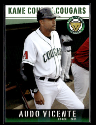 Audo Vicente 2015 Kane County Cougars Team Set