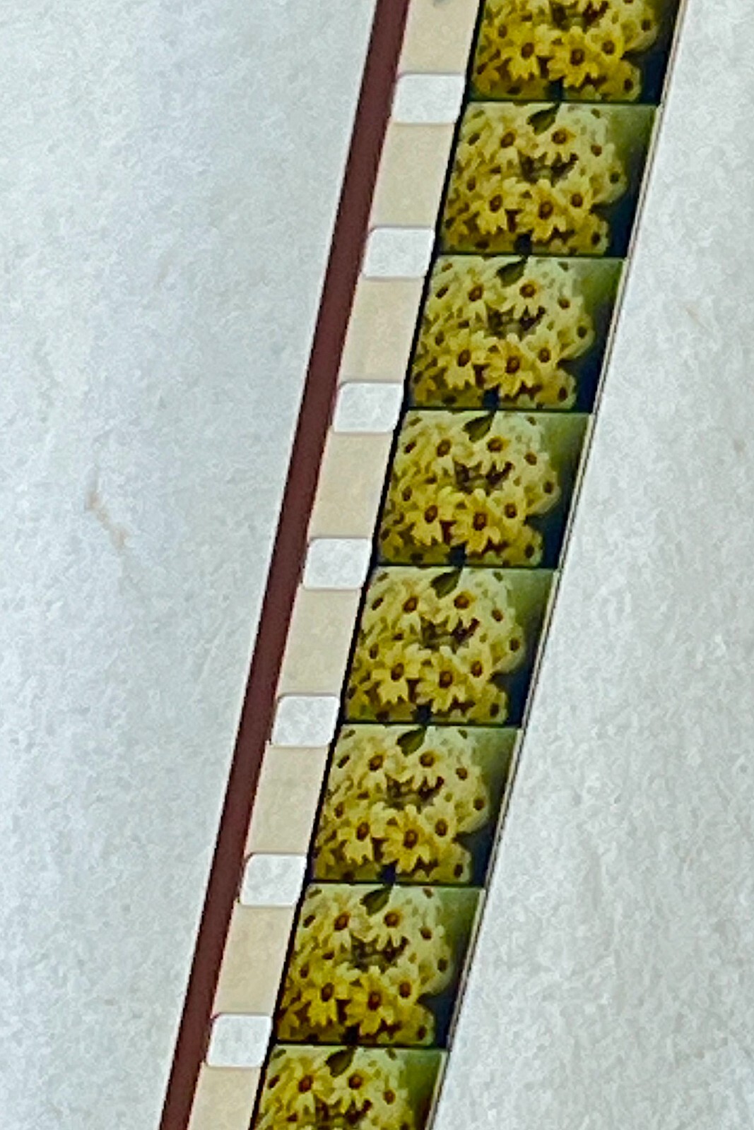 Picture 10 of 11