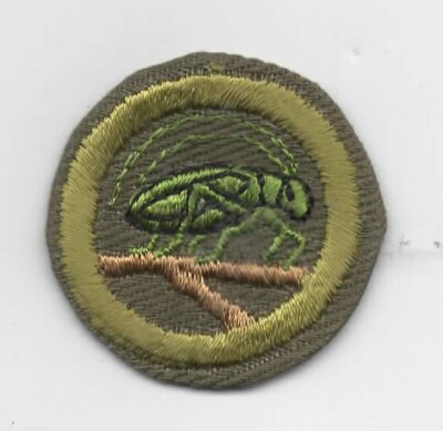 Insect Life Merit Badge, Type E Khaki Narrow Crimped (1947-60), Mint!