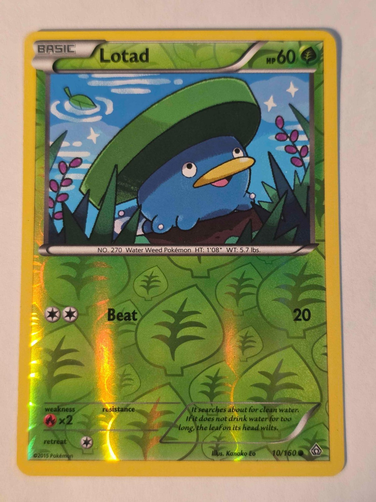Lotad 10/160 Common Primal Clash Pokemon REVERSE HOLO NM
