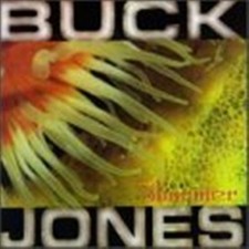 Shimmer - Music CD -  -  1999-06-15 - Crystal Clear Sound - Very Good - Audio CD