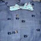 Picture 4 of 4