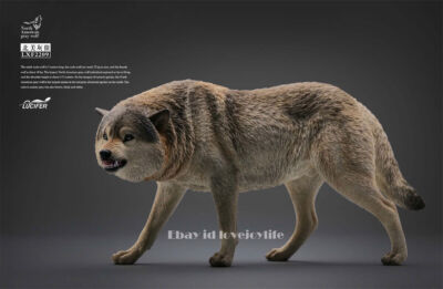 WOLF,新品未開封,NWOBHM,EDGE OF THE WORLD,CD WOLF,新品未開封,NWOBHM,EDGE OF THE WORLD,CD hqdefault.jpg?sqp=-