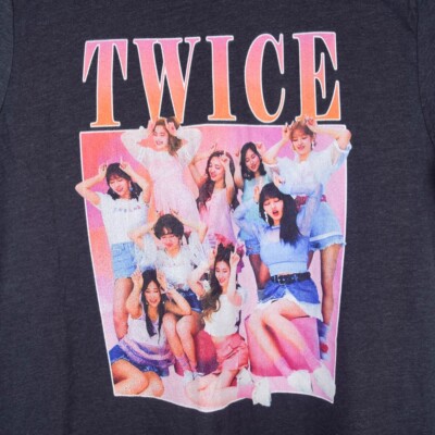 Twice Kpop Band Adult Unisex L Gray Group Photo Tshirt Tee