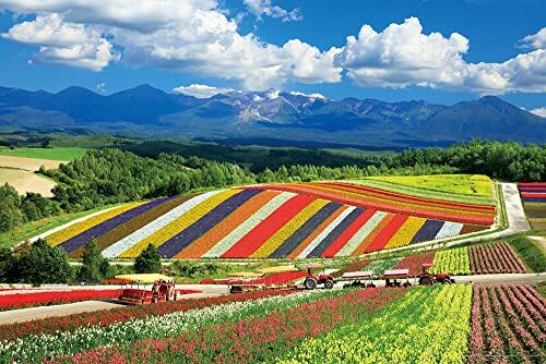 Shikisai Hills Tokachi Mountain Range Hokkaido 1000 piece puzzle
