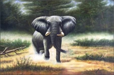 Quality Hand Painted Oil Painting Wild Elephant, 24x36in