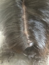 New 360 Glueless 14 Inch. Lace Frontal Loose Deep Wave Virgin Hair 180 Density