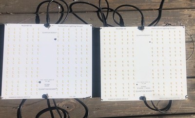 TWO HLG 100 Quantum Board LED Grow Lights Veg & Bloom High-Efficiency