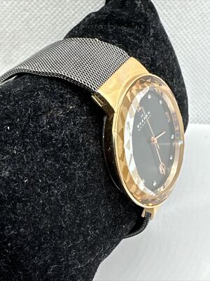 Skagen SKW2120 Women\'s Gray Stainless Steel Mesh Analog Dial Quartz Watch JNA892 Skagen SKW2120 Women main image 2
