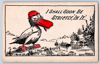 1907 Smoking Duck With Glasses And Pond Postcard I Shall Soon Be Strictly In It