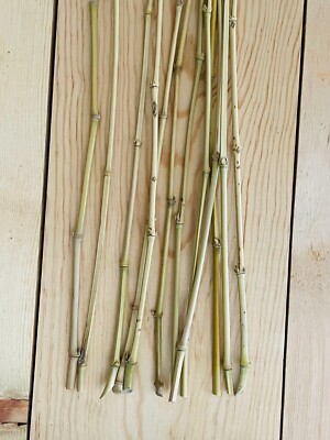 Bamboo Decorative Sticks: Stylish Tips to Elevate Your Space