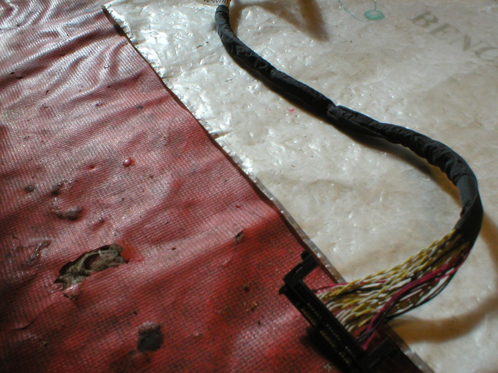Imagen 2 de 3