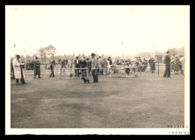 Photo, breed dog show Erzgeb., Teckel World Winners Exhibition Dortmund 6 5026-1230