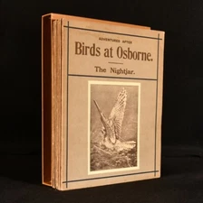 1916 6vol Adventures After Birds at Osborne by A. M. C. Nicholl Scarce Illust...
