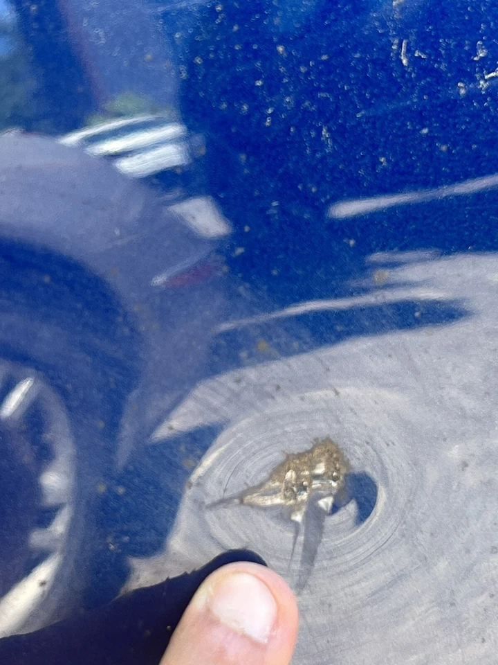 BMW 335i M3 2007-2013 cupé genuino pasajero derecho puerta exterior carcasa azul OEM Foto 2 de 4