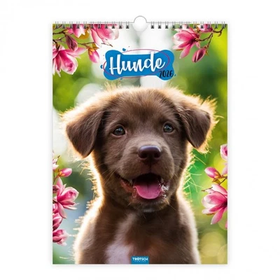 Trötsch Classic-Kalender Hunde 2026 Monatskalender Wandkalender 2026209