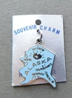 State Charm : Alaska - Souvenir Charm/Pendant - silver tone/Cloisonne enamel