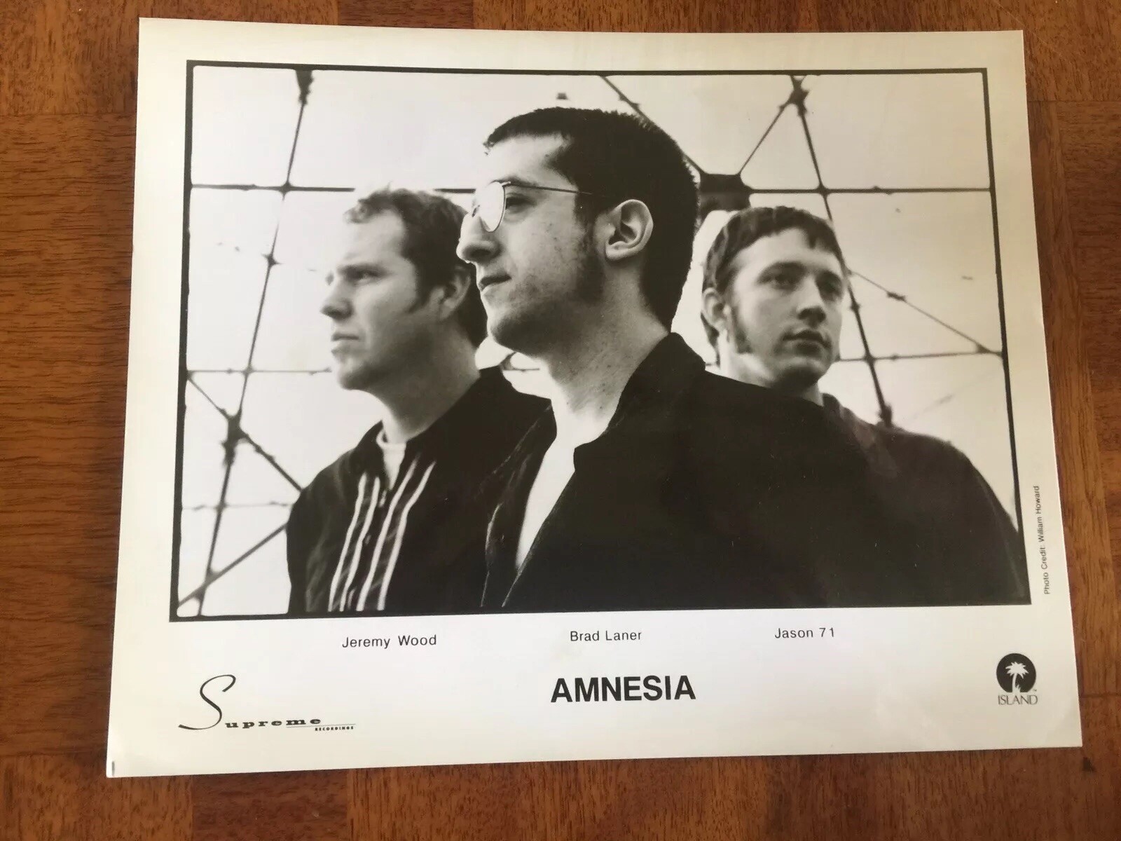 Amnesia Music Group Rare 10x8 Press Photo - Brad Laner, Jeremy Wood ...