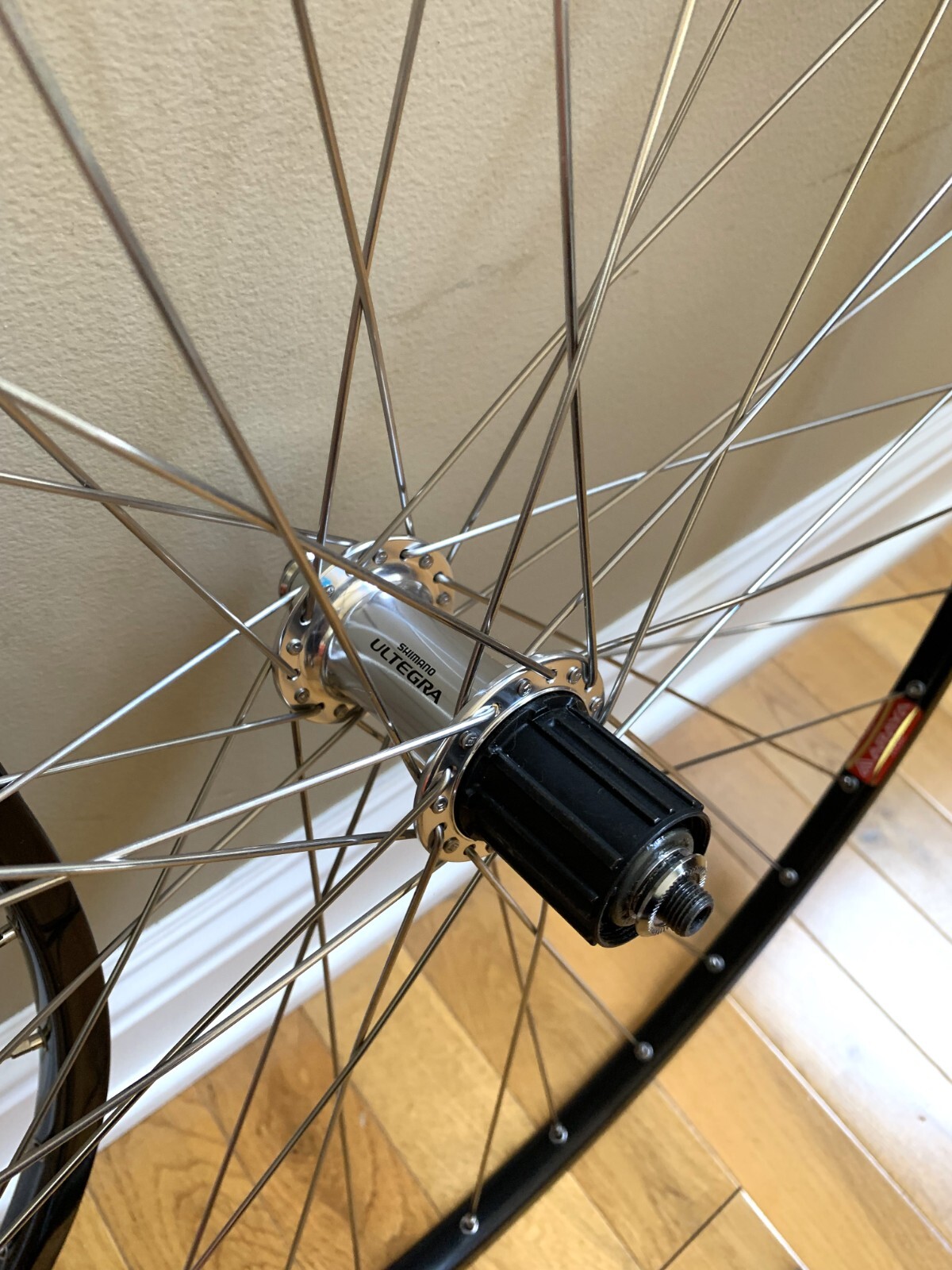 full body exercise bike