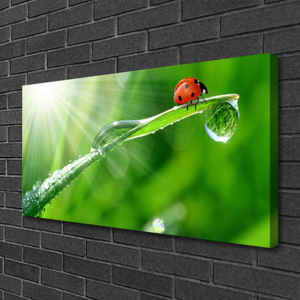 Image sur toile herbe et soleil 100x50 cm pour créer un salon zen et lumineux
