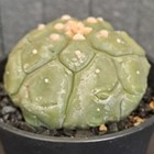 Foto 5 di 24