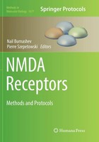 Nail Burnashev (U. A.) | Nmda Receptors | Taschenbuch | Englisch (2018) | Xiii