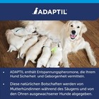 Bild 10 von 11