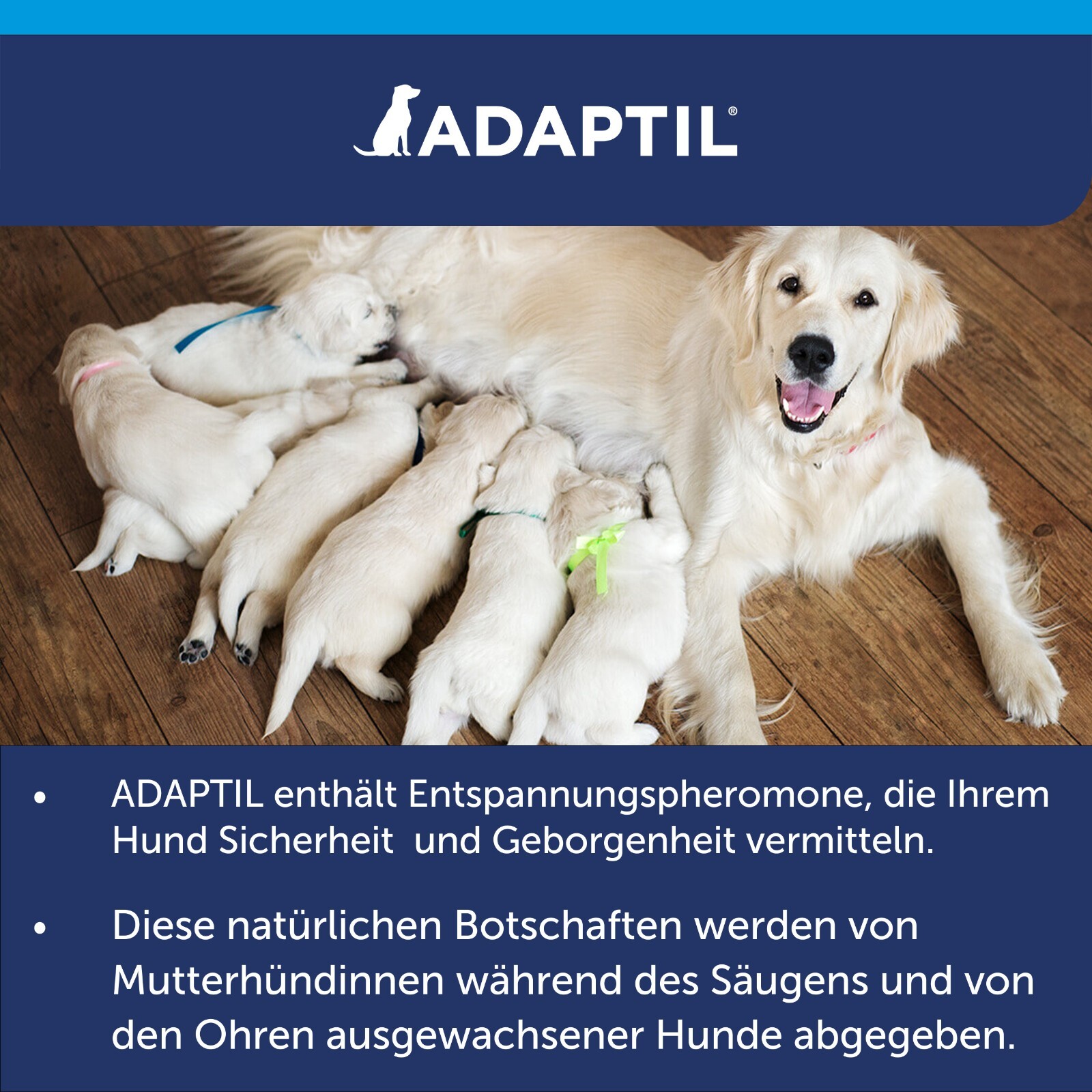 Bild 10 von 11