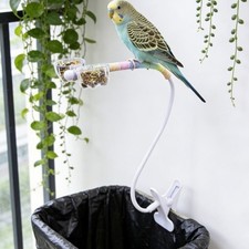 Support anti-morsure perroquet défécation support d'alimentation pour oiseaux placement de table